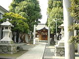 橘樹神社